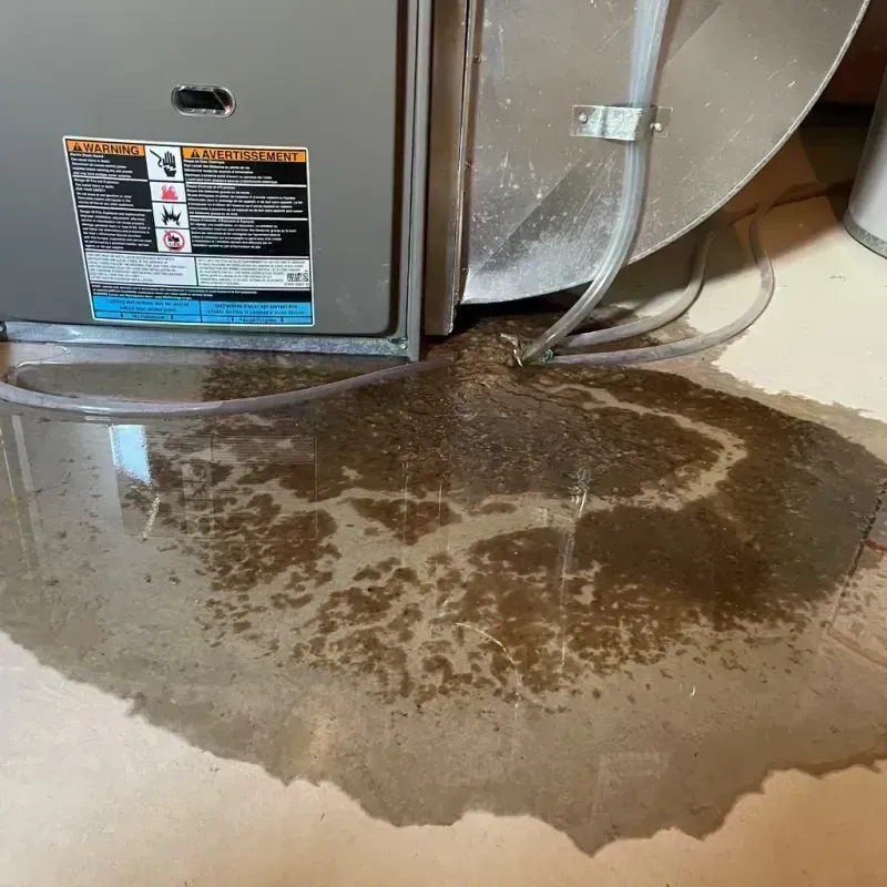 Appliance Leak Cleanup in San Carlos Park, FL